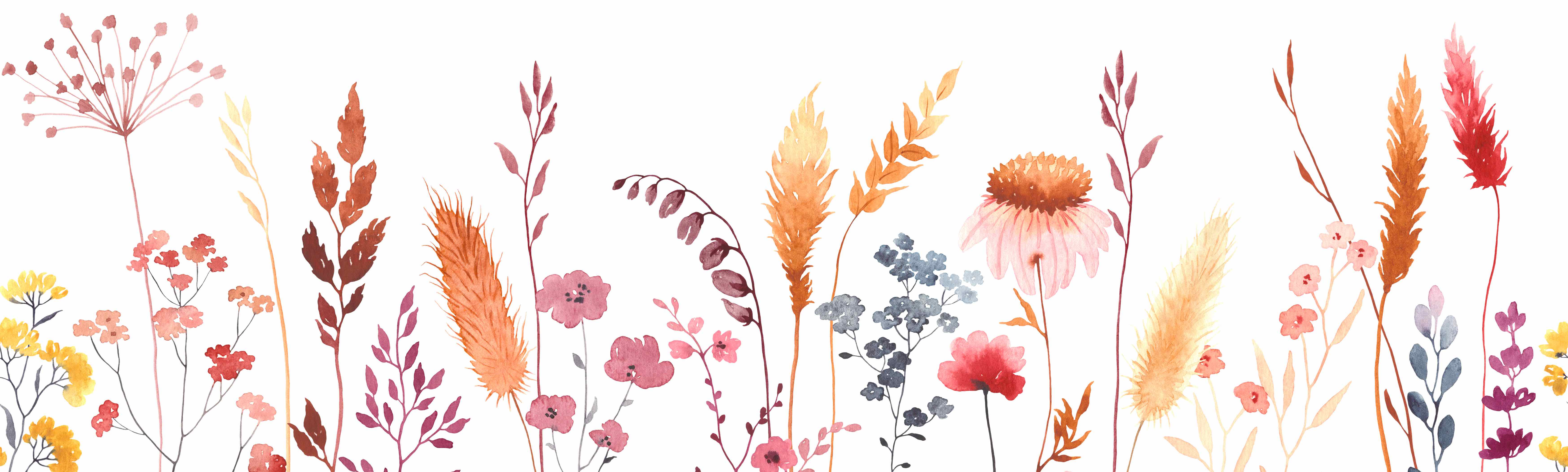 Illustration of flowers.